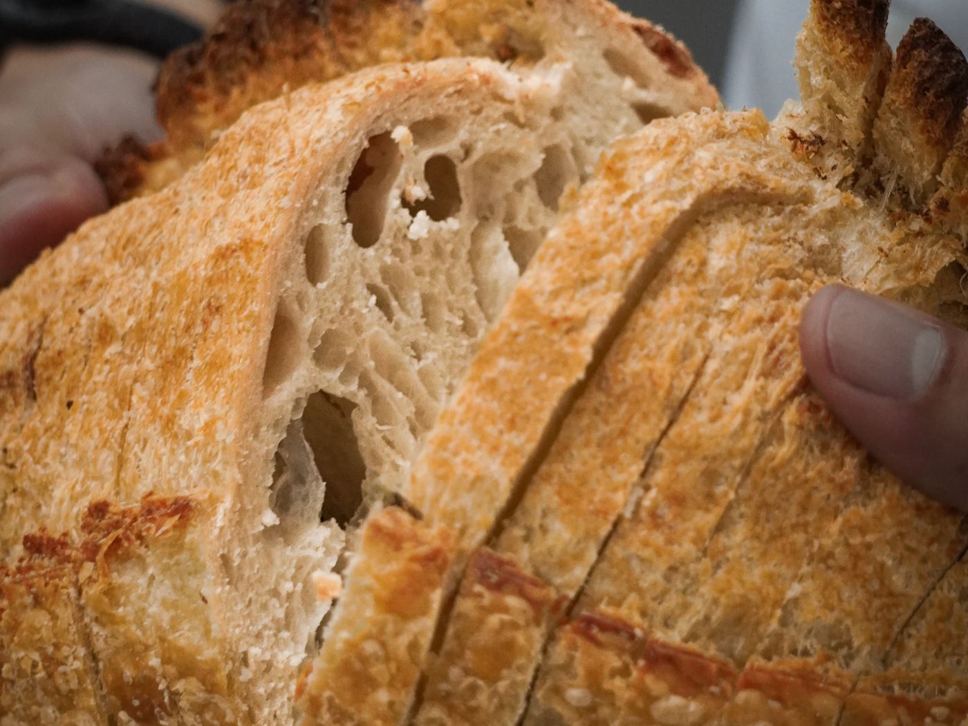Pan de masa madre recién horneado en manos del panadero